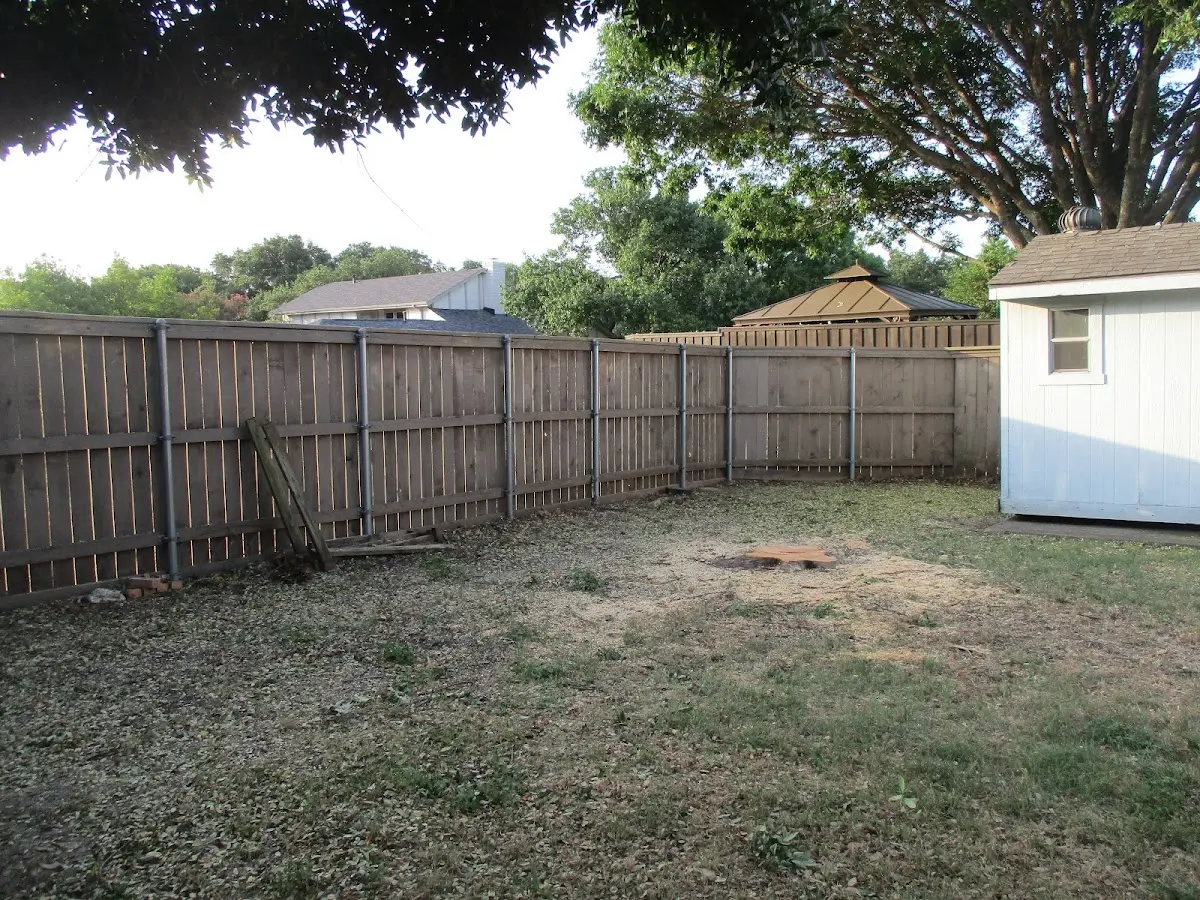 Cleared yard after professional tree removal in Clam Lake
