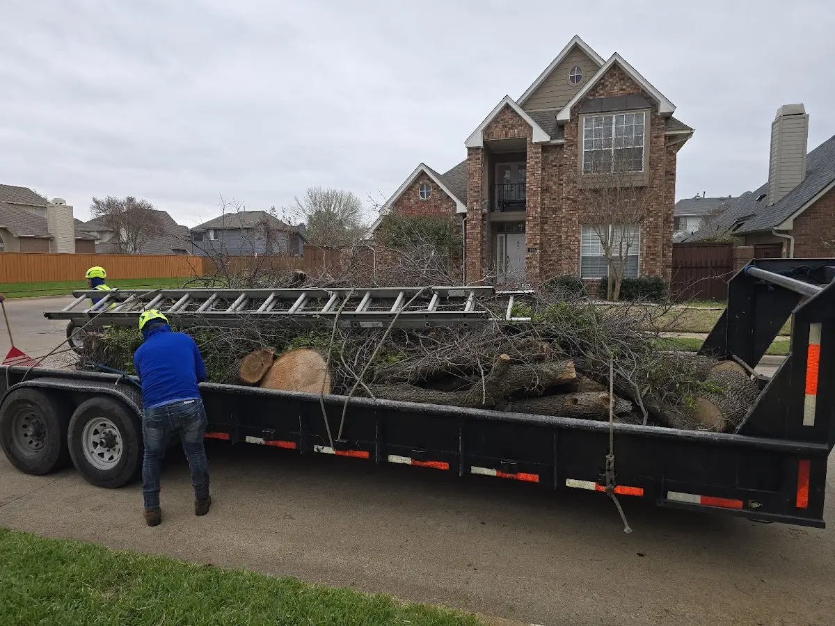 Expert Crown Reduction with proper safety equipment in Clam Lake